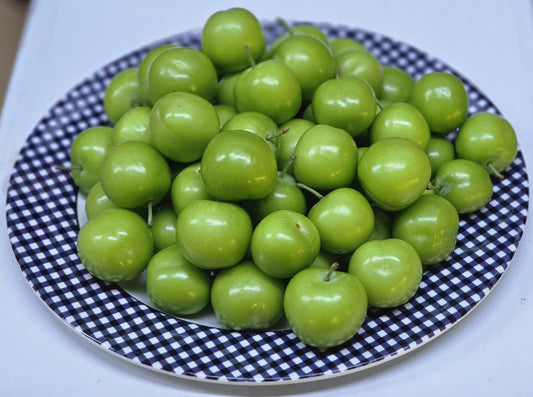 Fresh Green Plums Atlanta (Yesil Erik) ā First Harvest