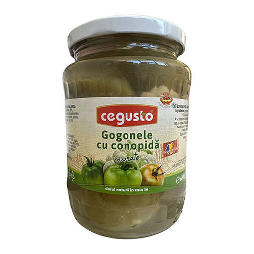 Picture of CEGUSTO Pickled Green Tomatoes w/Cauliflower 680g